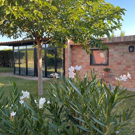 Las Casitas Del Gallego Villanueva de Gállego Extérieur photo